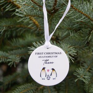 Ornament: First Christmas As A Family Decoration